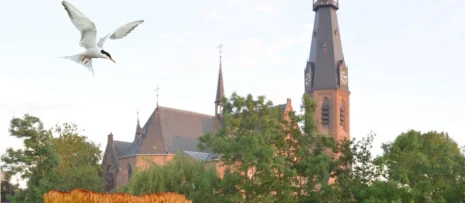 lezing natuur om de Urbanuskerk