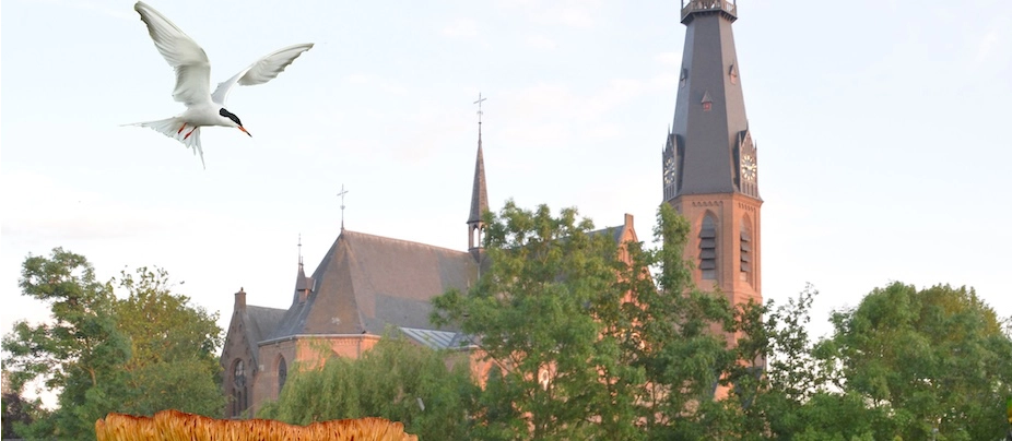 lezing natuur om de Urbanuskerk